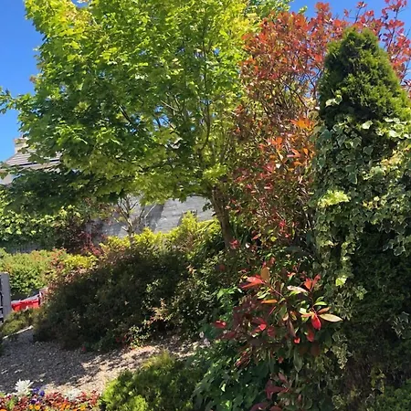 Oda ve Kahvaltı Amber Heights Galway